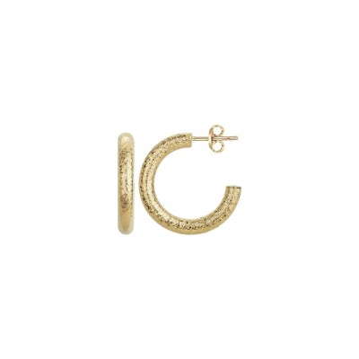 Boucles d'oreilles Phebus en acier et PVD