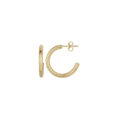 Boucles d'oreilles Phebus en acier et PVD