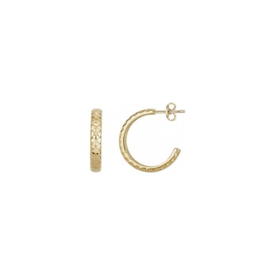 Boucles d'oreilles Phebus en acier et PVD