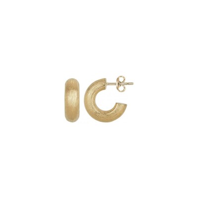 Boucles d'oreilles Phebus en acier et PVD