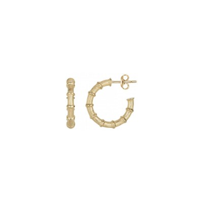 Boucles d'oreilles Phebus en acier et PVD