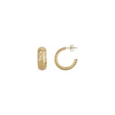 Boucles d'oreilles Phebus en acier et PVD