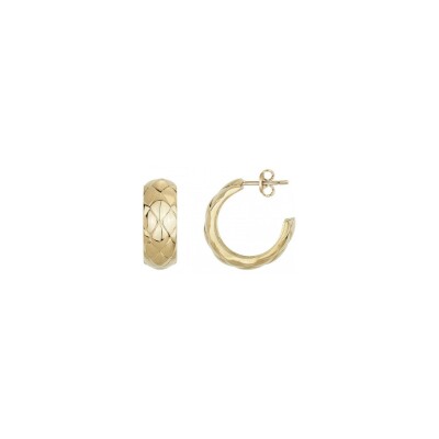 Boucles d'oreilles Phebus en acier et PVD