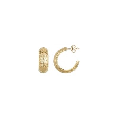 Boucles d'oreilles Phebus en acier et PVD