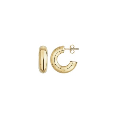 Boucles d'oreilles Phebus en acier et PVD