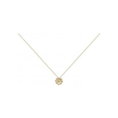 Collier Phebus en acier