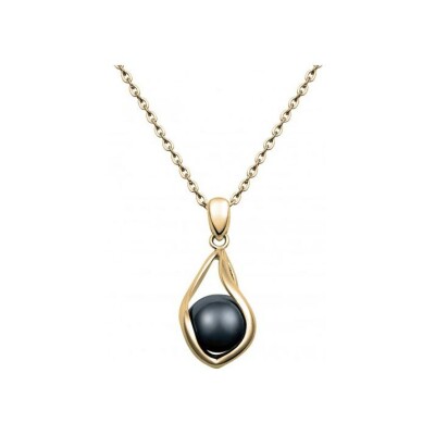 Collier Phebus en acier