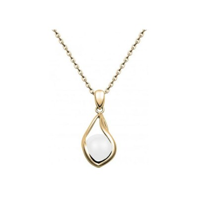 Collier Phebus en acier