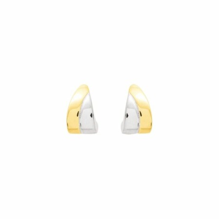 Boucles d'oreilles électroformée en or blanc