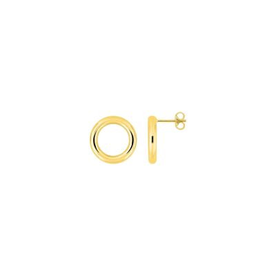 Clous d'oreilles en or jaune