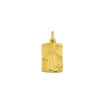 Pendentif zodiaque Verseau en or jaune