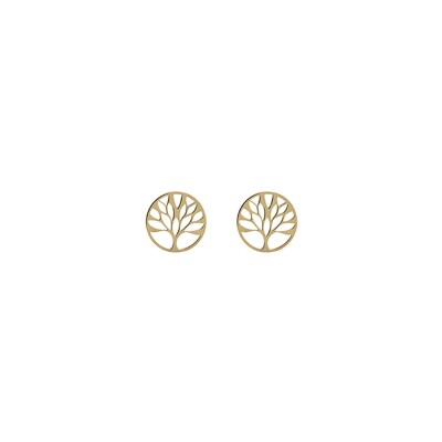 Boucles d'oreilles arbre de vie en or jaune