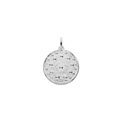 Médaille Arthus Bertrand en argent