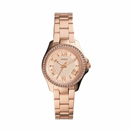 Montre FOSSIL Cecile AM4578