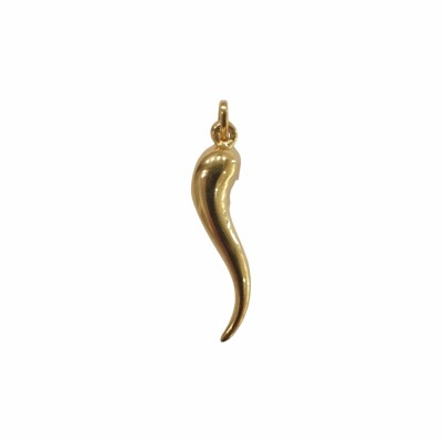 Pendentif piment / corne or 18k