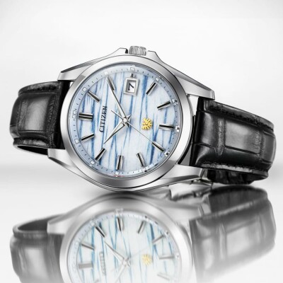 Montre The CITIZEN Eco-Drive with Accuracy AQ4090-08A