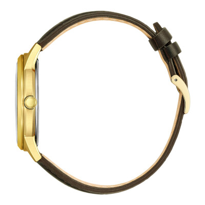 Montre Citizen Eco-Drive AW0102-13AC