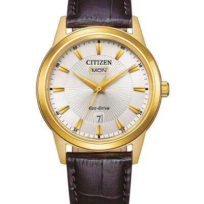 Montre Citizen Eco-Drive AW0102-13AC