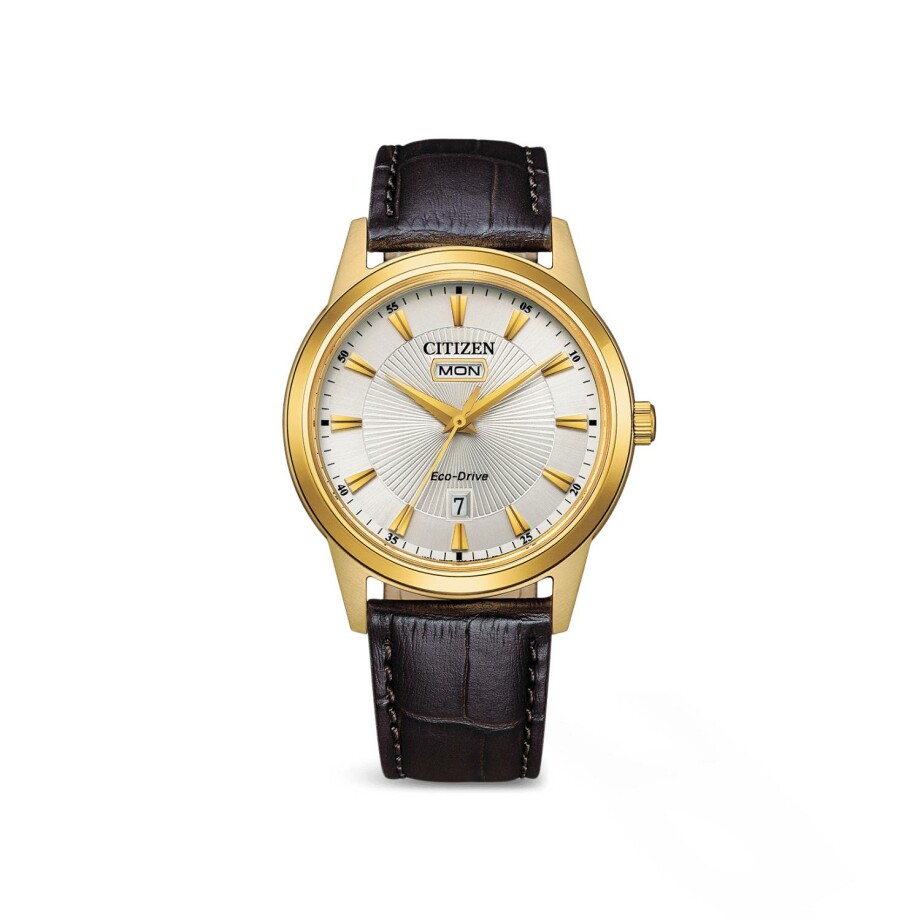 Montre Citizen Elegant AW0102-13AE