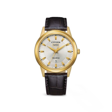 Montre Citizen Elegant AW0102-13AE