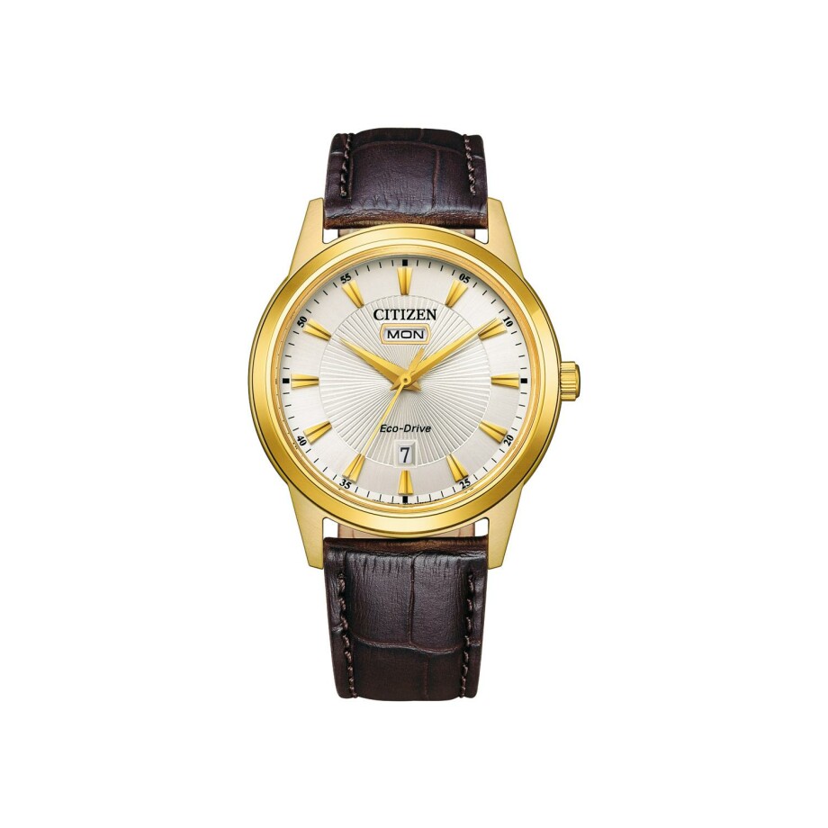 Montre Citizen Eco-Drive Classic Elegant Day and Date AW0102-13A