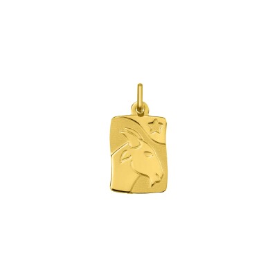 Pendentif zodiaque Capricorne en or jaune