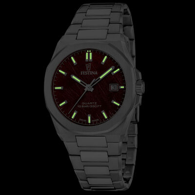 Montre Festina Swiss Made Acier Classique F20100/3