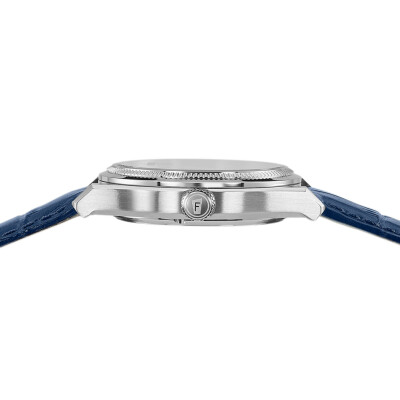 Montre Festina Swiss Made F20095/2