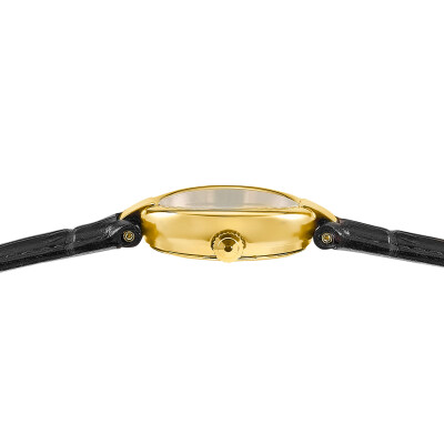 Montre Festina Mademoiselle F20783/1