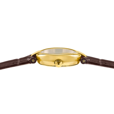 Montre Festina Mademoiselle F20783/2