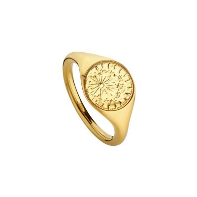 Chaîne de cheville Arthus Bertrand Pluie d'étoiles en or jaune, taille 54