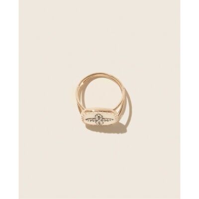 Bague Pascale Monvoisin Bowie N°2 en or rose, argent, résine et diamant