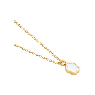Collier Clyda L'élégante en acier doré et nacre