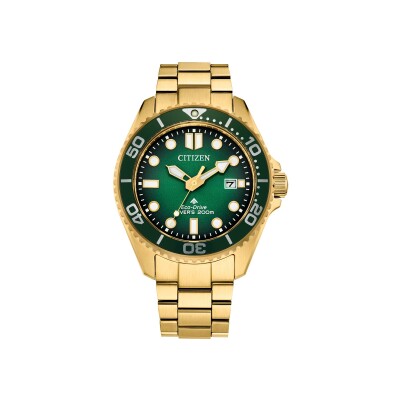 Montre Citizen Promaster Marine BN0262-59W