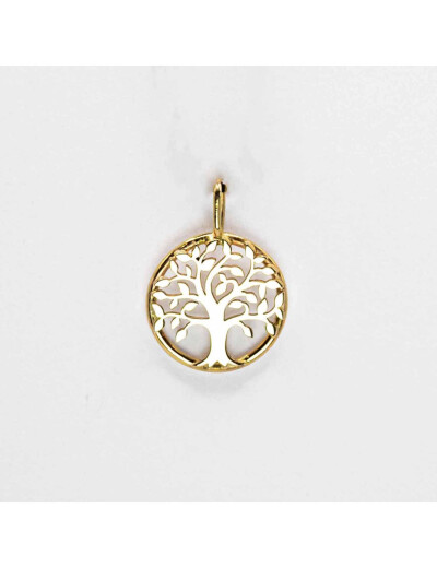 Pendentif Maison Ballet by Scarlett en or jaune