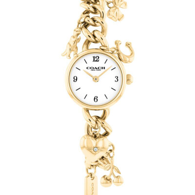 Montre COACH Iris 14504648