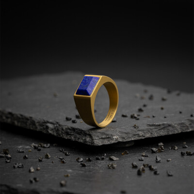 Bague Gemini Classics en titane et lapis lazuli