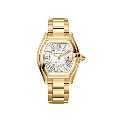Roadster watch Medium model, automatic movement, yellow gold, interchangeable metal bracelet and leather straps