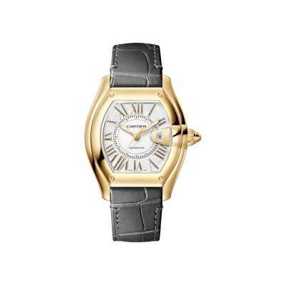 Roadster watch Medium model, automatic movement, yellow gold, interchangeable metal bracelet and leather straps
