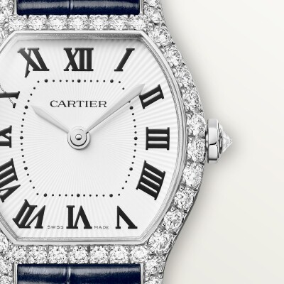 Montre Tortue Mini modèle, mouvement quartz, or gris, diamants, cuir