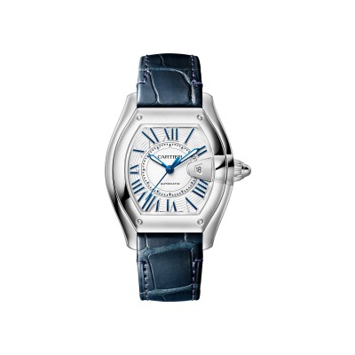 Montre Roadster Moyen modèle, mouvement automatique, acier, bracelets métal et cuir interchangeables