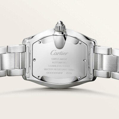 Montre Roadster Moyen modèle, mouvement automatique, acier, bracelets métal et cuir interchangeables