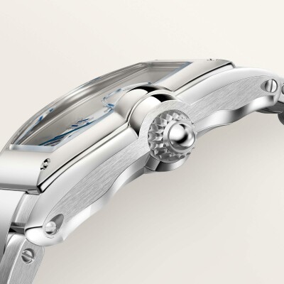 Montre Roadster Moyen modèle, mouvement automatique, acier, bracelets métal et cuir interchangeables