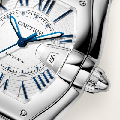 Montre Roadster Moyen modèle, mouvement automatique, acier, bracelets métal et cuir interchangeables