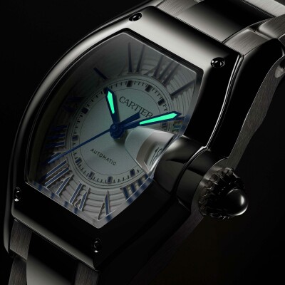 Montre Roadster Moyen modèle, mouvement automatique, acier, bracelets métal et cuir interchangeables