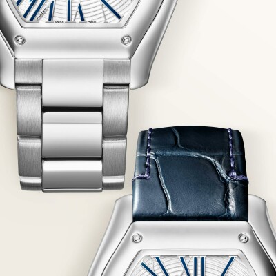 Montre Roadster Moyen modèle, mouvement automatique, acier, bracelets métal et cuir interchangeables