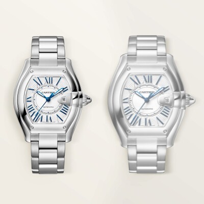 Montre Roadster Moyen modèle, mouvement automatique, acier, bracelets métal et cuir interchangeables
