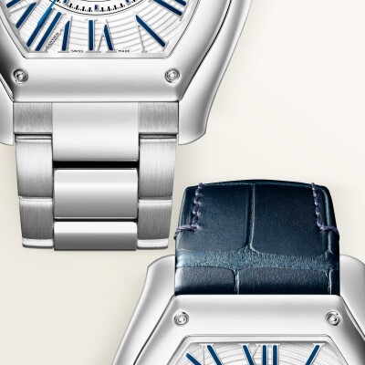 Montre Roadster Grand modèle, mouvement automatique, acier, bracelets métal et cuir interchangeables