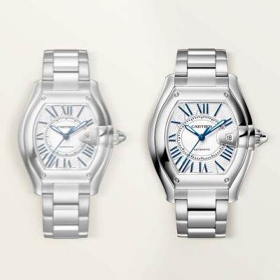 Montre Roadster Grand modèle, mouvement automatique, acier, bracelets métal et cuir interchangeables