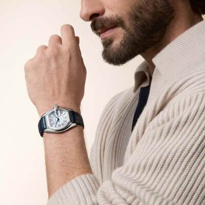 Montre Roadster Grand modèle, mouvement automatique, acier, bracelets métal et cuir interchangeables